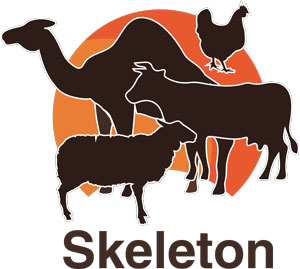 SKELETON FEED TRADING QATAR