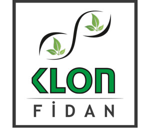 Clon Fidan Turkey